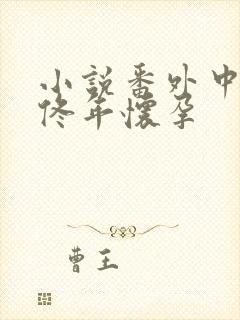 小说番外中结局佟年怀孕