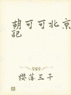 胡可可北京成功记