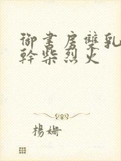 御书房双乳晃动干柴烈火