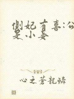 侧妃有喜:公主是小妾