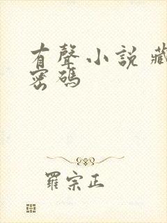 有声小说 藏地密码