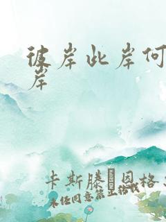 彼岸此岸何处是岸