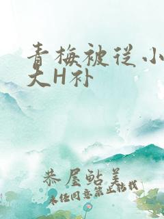 青梅被从小摸到大H补