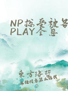 NP总受被各种PLAY全息