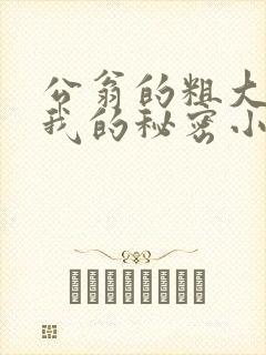 公翁的粗大放进我的秘密小说