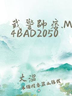 武警帅痞.MP4BAD2050
