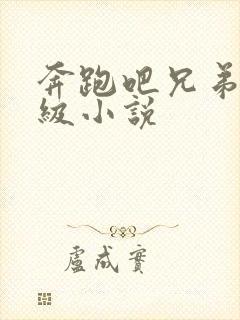 奔跑吧兄弟限制级小说