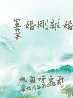 军婚刚离婚就怀孕