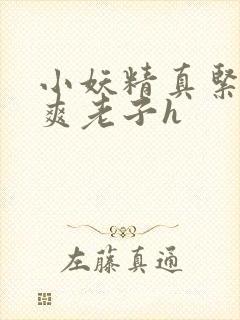 小妖精真紧h嘶爽老子h