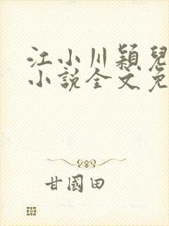 江小川颖儿穿越小说全文免费阅读