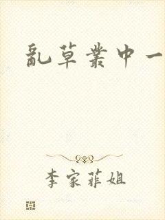 乱草丛中一杆枪