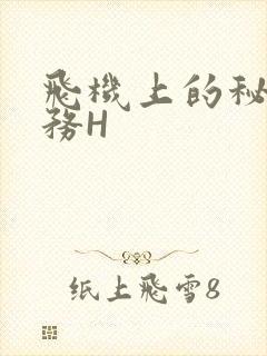 飞机上的秘密服务H