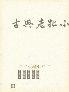 古典老牝小说