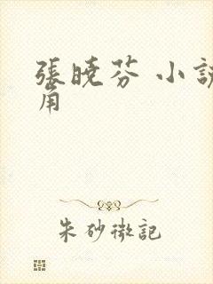 张晓芬 小说主角