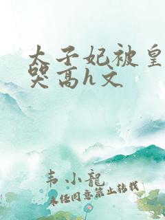 太子妃被皇上c哭高h文