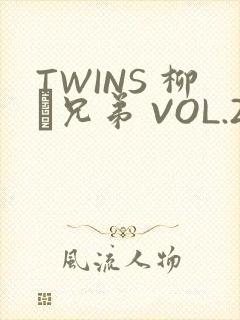 TWINS 柳澤兄弟 VOL.2