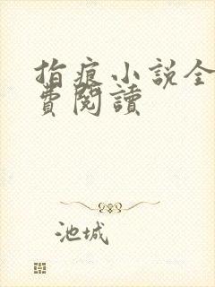 指痕小说全文免费阅读