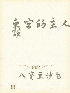 东宫的主人 小说