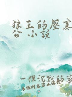 狼王的压寨小相公 小说