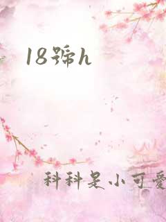 18号h