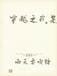 穿越之我是华筝