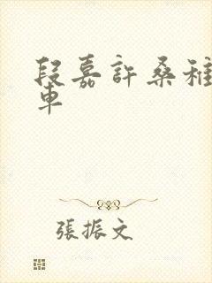 段嘉许桑稚浴室车