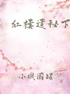 红楼遗秘下载