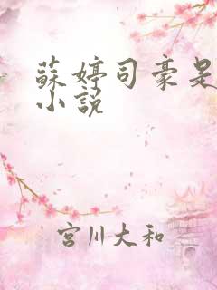 苏婷司豪是什么小说