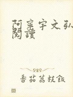 阿宁宇文弘免费阅读