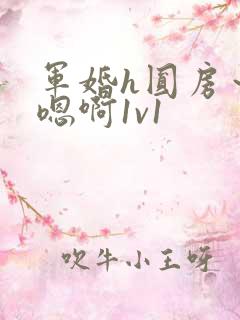 军婚h圆房～h嗯啊1v1