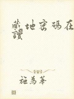 藏地密码在线阅读