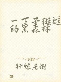 一下子挺进浓密的黑森林