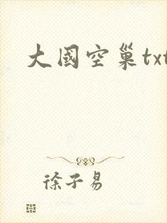 大国空巢txt