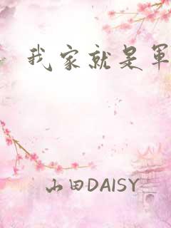 我家就是军火铺