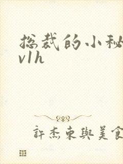 总裁的小秘书1v1h