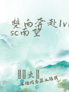 双向奔赴1v1sc南望