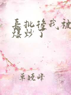 长批后我被宿敌爆炒了