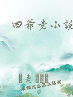 四爷党小说