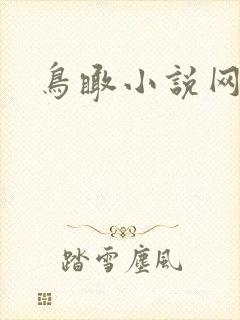 鸟瞰小说网