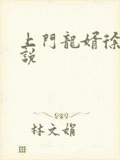 上门龙婿徐阳小说