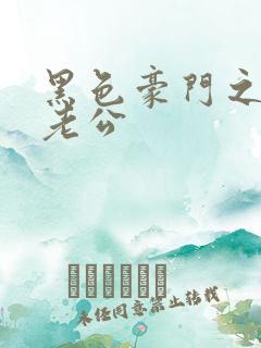 黑色豪门之王子老公