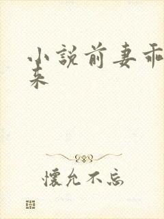 小说前妻乖乖回来