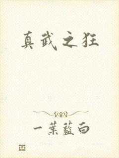 真武之狂