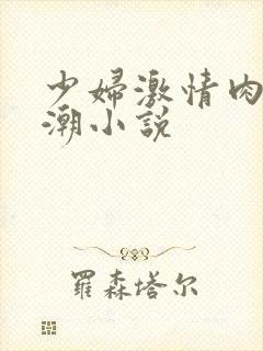 少妇激情肉欲高潮小说