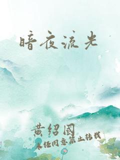 暗夜流光