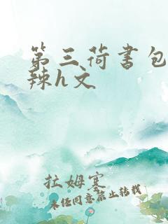 第三荷书包网高辣h文