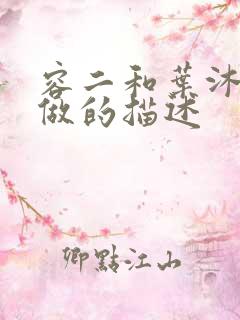 容二和叶沐走着做的描述