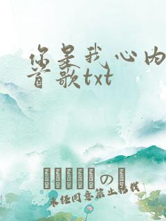 你是我心内的一首歌txt