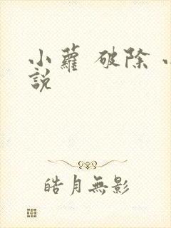 小萝 破除 小说