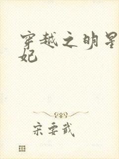 穿越之明星太子妃